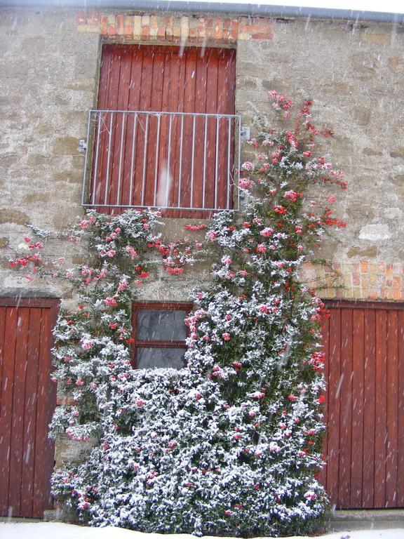 Ballyhargan Farm House Dungiven Bagian luar foto