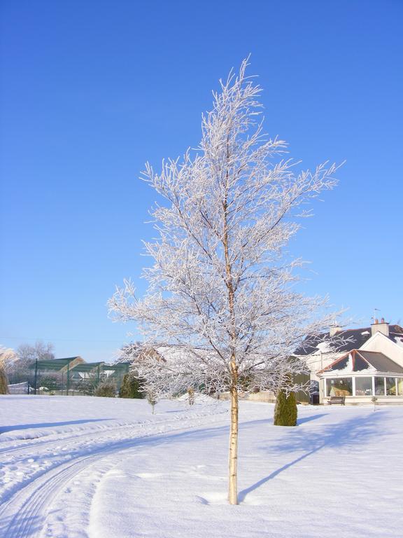 Ballyhargan Farm House Dungiven Bagian luar foto