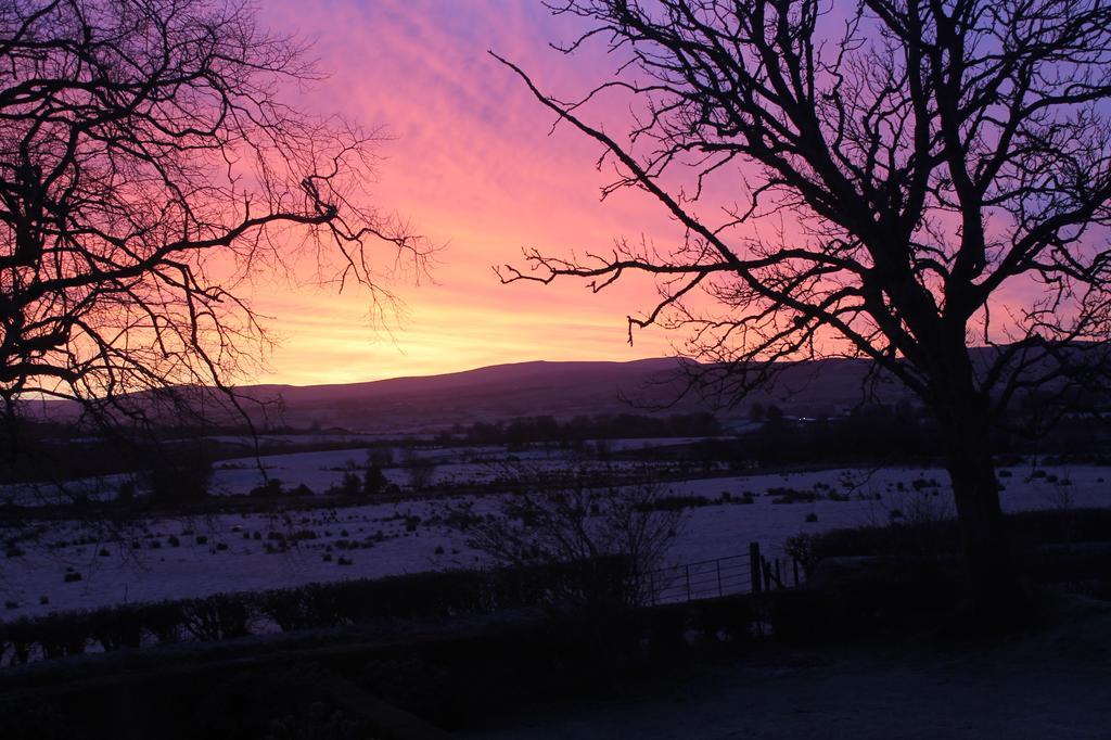 Ballyhargan Farm House Dungiven Bagian luar foto