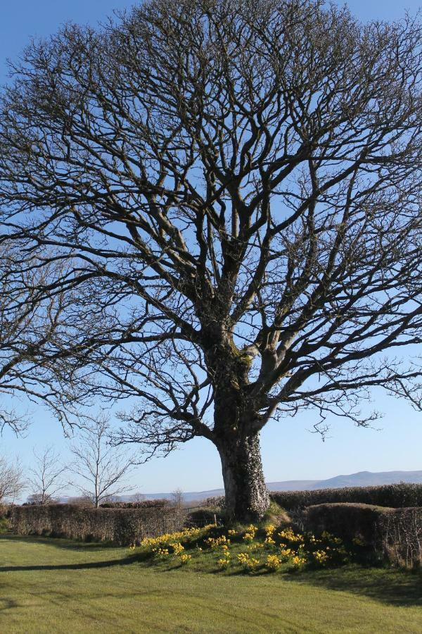 Ballyhargan Farm House Dungiven Bagian luar foto